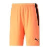 Hose TeamLIGA Short PUMA 5