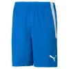 Hose TeamLIGA Short PUMA 10