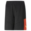 IndividualFINAL Fußball Trainingshorts Herren PUMA 5