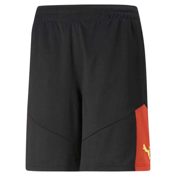 IndividualFINAL Fußball Trainingshorts Herren PUMA 1